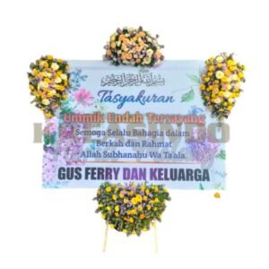 Bunga Papan Malang Batu